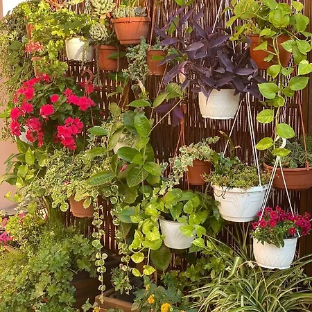 Panzió Rita, Nel Cuore Del Salento Cavallino di Lecce