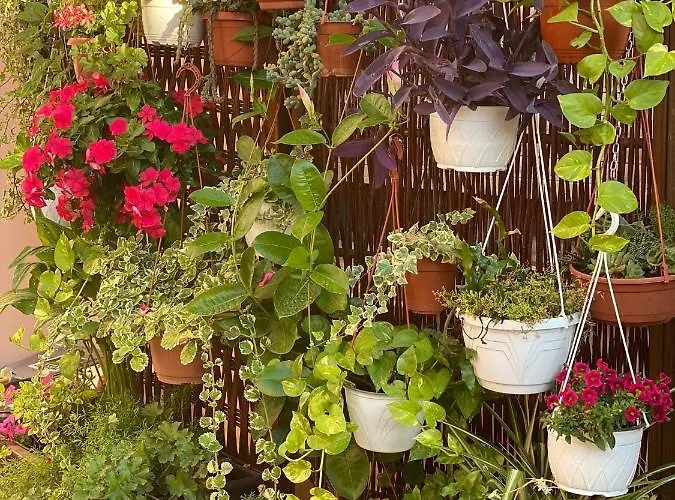 Couette-café Rita, Nel Cuore Del Salento Cavallino di Lecce